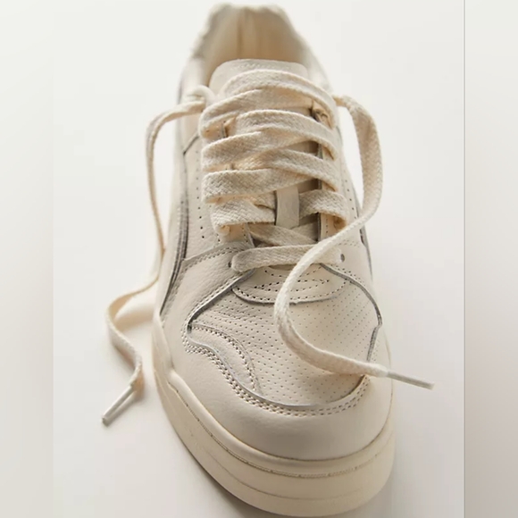 Puma Shows - Picture 2 of 2